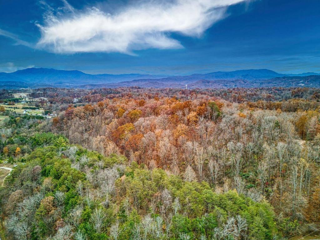 Bridgewood Cabin, Hot Tub, 1089 Of Free Attraction Tickets For Each Paid Day, Dollywood And More! Пиджен-Фордж Экстерьер фото