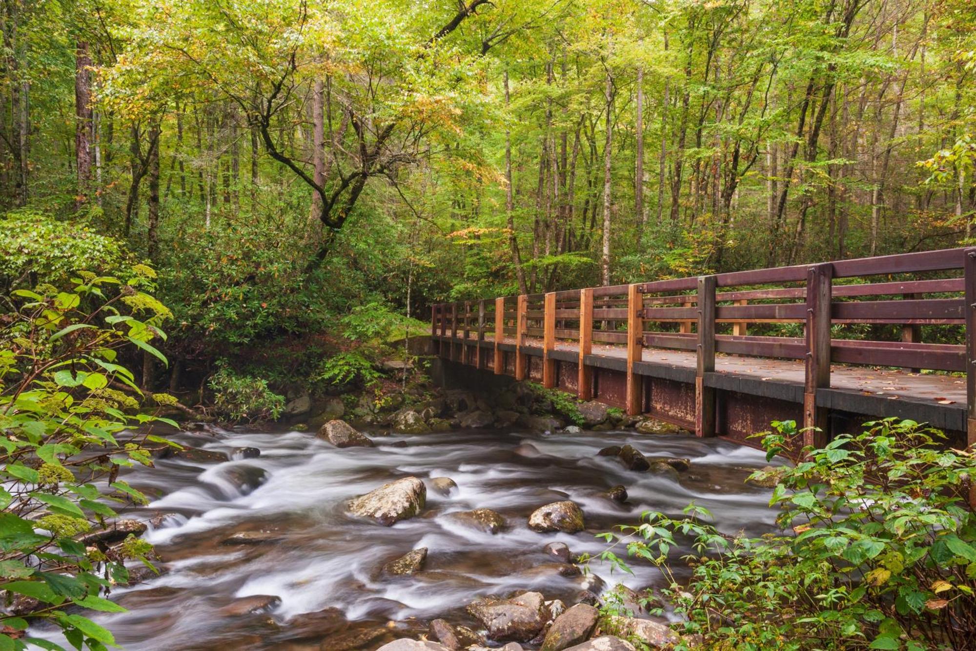Bridgewood Cabin, Hot Tub, 1089 Of Free Attraction Tickets For Each Paid Day, Dollywood And More! Пиджен-Фордж Экстерьер фото